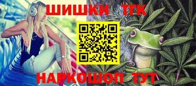 молекула духа Камышлов