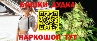 молекула духа Камышлов
