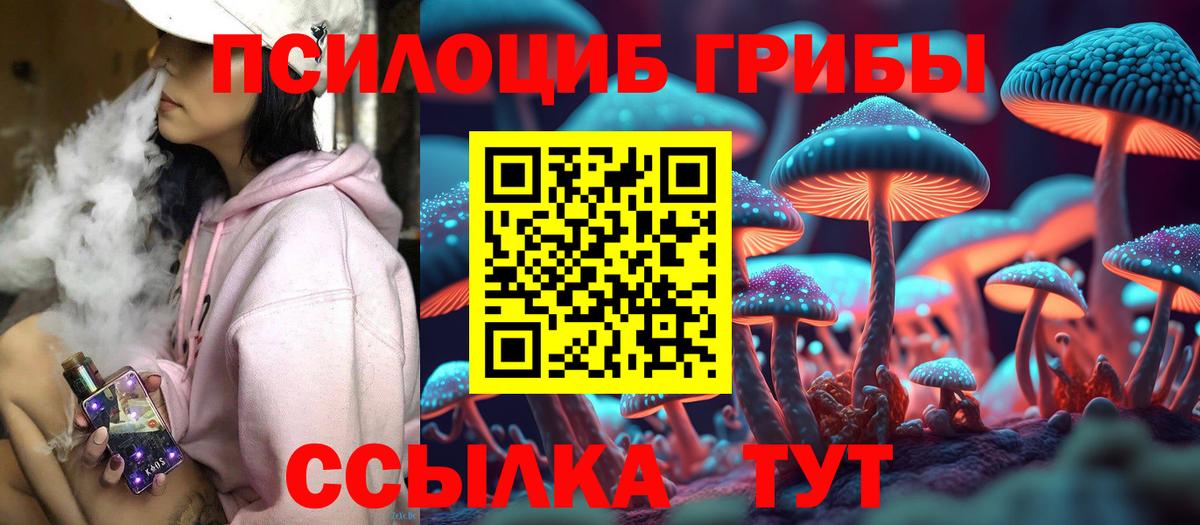 Усть-Илимск  Галлюциногенные грибы Psilocybe  Псилоцибиновые грибы мухоморы  Вход с VPN 