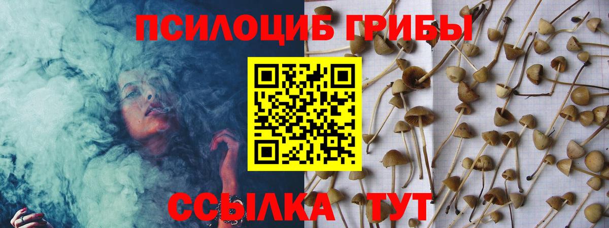 Псилоцибиновые грибы прущие грибы Усть-Илимск