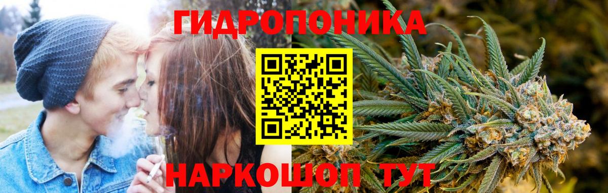 Шишки марихуана сатива  Вход с VPN  Усть-Илимск  МАРИХУАНА гибрид  Канабис White Widow 